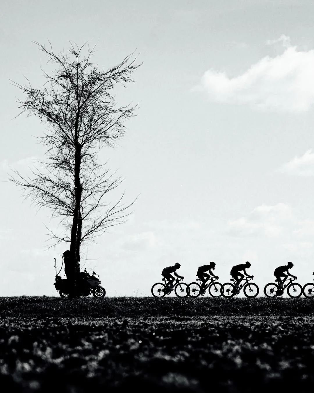 Peloton Silhouette and Lone Tree